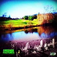 a green field with trees and a pond
